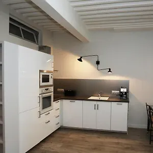 55 M2 With Big Terrace In Downtown , Annecy France